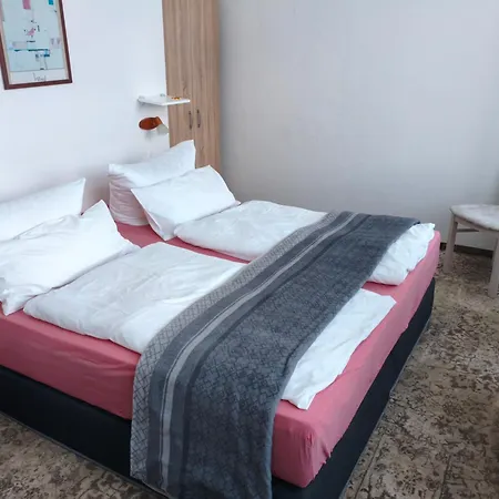 Hotel-pension Schloss -miramar Bad Elster